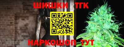 Альфа ПВП Краснознаменск